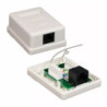 Roseta 1 jack RJ45 keystone cat5E
