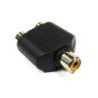 2 Jack Y RCA a jack RCA CA-142PS