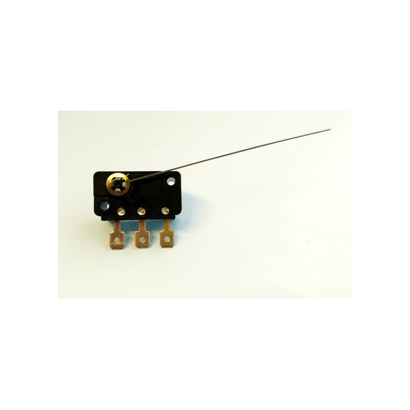 Switch fin de carrera c/palanca grande fina FC-060