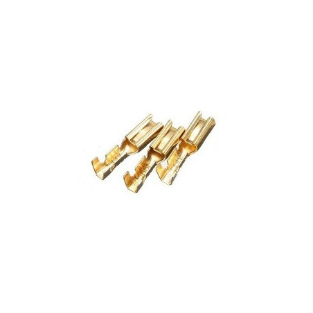 Zapata hembra dorada para cal. 20 y 22 CZ-020