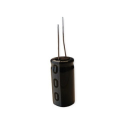 CE 100uF 100V