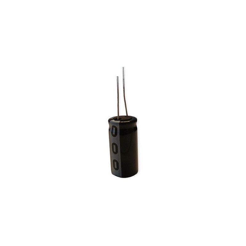 CE 100uF 100V